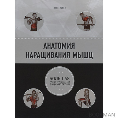 Анатомия наращивания мышц