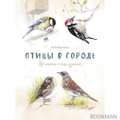 Птицы в городе. Где найти и как узнать