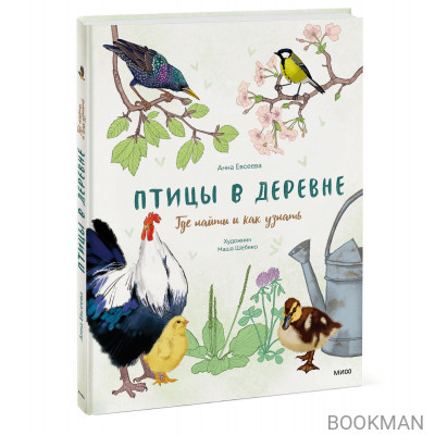 Птицы в деревне. Где найти и как узнать