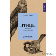 Птицы: Крылатые чудеса природы