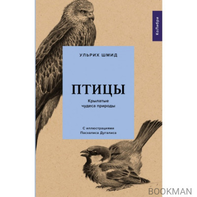 Птицы: Крылатые чудеса природы