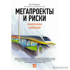 Мегапроекты и риски