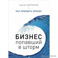 Бизнес, попавший в шторм. Как победить кризис