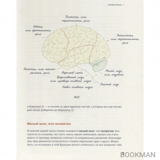 В моей голове. Как устроен мозг и зачем он нам нужен