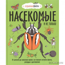 Насекомые и не только. От шмелей до навозных жуков: все ползуче-летучие факты, рекорды и достижения