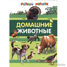 Домашние животные