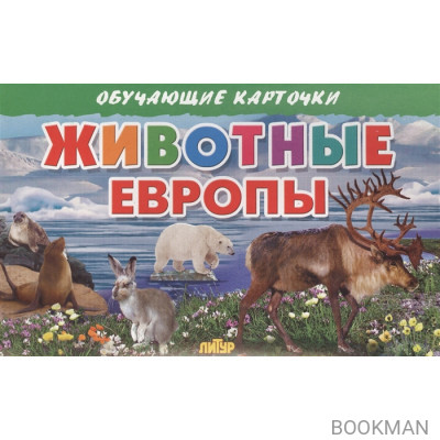 Обучающие карточки. Животные Европы