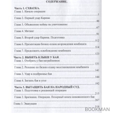 Сатанинские годы. Книга 2. Не сдаваться, бороться и побеждать. Том 2. Продолжение борьбы