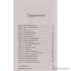 Уличный кот по имени Боб. Как человек и кот обрели надежду на улицах Лондона