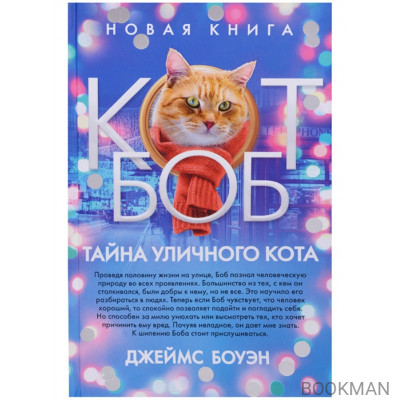 Тайна уличного кота