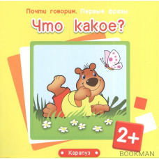 Что какое? (2+)