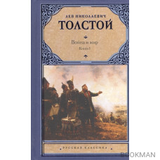 Война и мир. Роман. Книга 1. Тома 1, 2