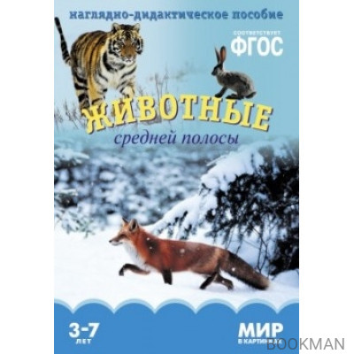 Животные средней полосы. Наглядно-дидактическое пособие