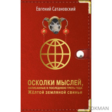 Осколки мыслей, записанные в последнюю треть года желтой земляной свиньи