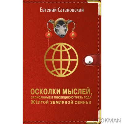 Осколки мыслей, записанные в последнюю треть года желтой земляной свиньи