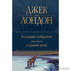Большое собрание рассказов в одном томе
