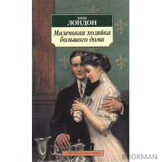 Маленькая хозяйка большого дома: Роман