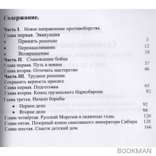 Сатанинские годы. Книга I. Долг Родине, верность присяге. Том 2. По зову долга