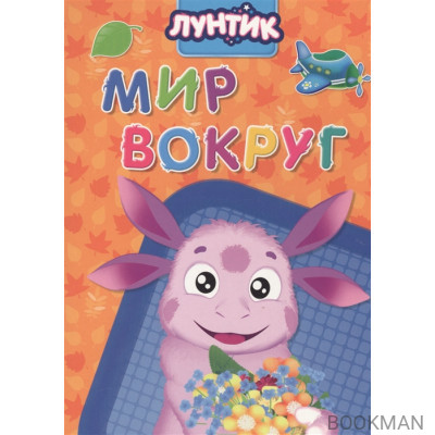 Мир вокруг