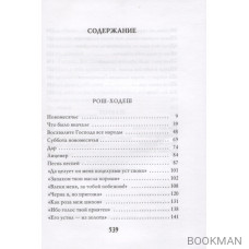 Голос в тишине (рассказы о чудесном). По мотивам хасидских историй, собранных раввином Ш. Зевиным. Том IX