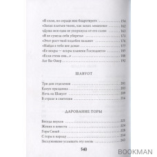 Голос в тишине (рассказы о чудесном). По мотивам хасидских историй, собранных раввином Ш. Зевиным. Том IX