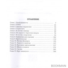 Тайна стоптанных башмачков. Мистический триллер