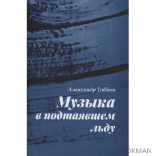 Музыка в подтаявшем льду. Роман