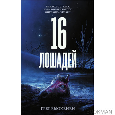 16 лошадей