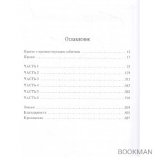 Молчаливые боги. Книга 2. Мастер артефактов