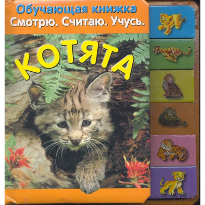 Котята