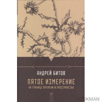 Пятое измерение. На границе времени и пространства