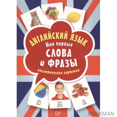 Английский язык. Мои первые слова и фразы. Дидактические карточки 60 шт