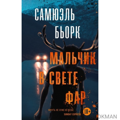 Мальчик в свете фар