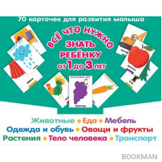 Все, что нужно знать ребенку от 1 до 3 лет. Животные. Еда. Мебель. Одежда и обувь. Овощи в фрукты. Тело человека. Транспорт. 70 карточек для разви