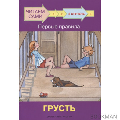 3 ступень. Первые правила. Грусть