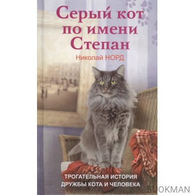 Серый кот по имени Степан. Трогательная история дружбы кота и человека