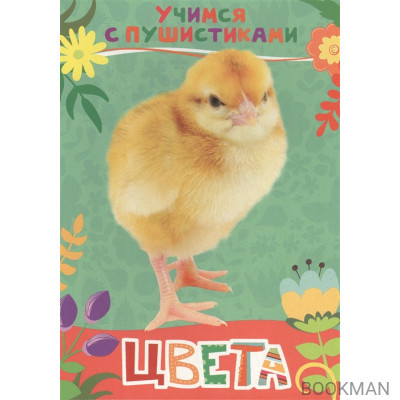 Цвета