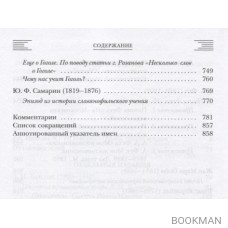 Во что веровали русские писатели? Литературная критика и религиозно-философская публицистика. Том I