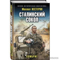 Сталинский сокол. Комбриг