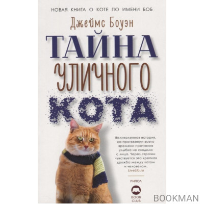 Тайна уличного кота