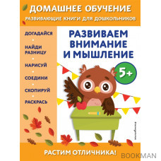 Развиваем внимание и мышление: для детей от 5 лет