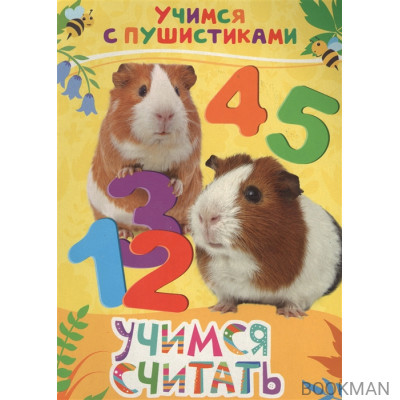 Учимся считать