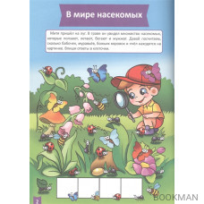 Математическое развитие. 5-6 лет