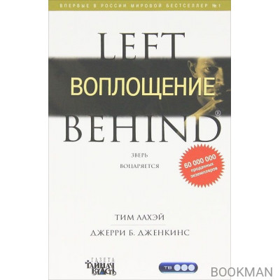 Воплощение. Книга 7