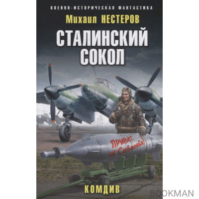 Сталинский сокол. Комдив