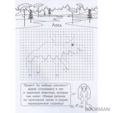 Графические диктанты для детского сада. Животные нашего леса