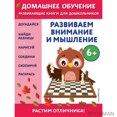 Развиваем внимание и мышление: для детей от 6 лет