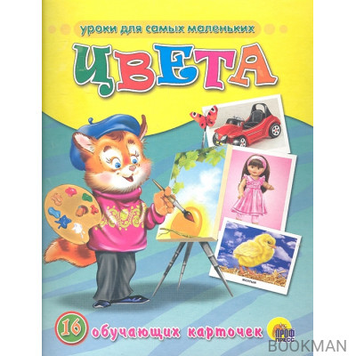 Цвета. 16 обучающих карточек