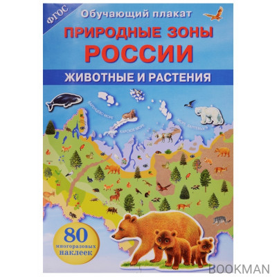 Обучающий плакат. Природные зоны России. Животные и растения. 80 могоразовых наклеек