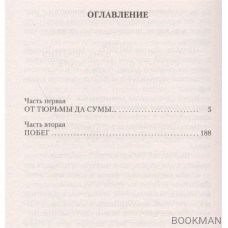 Жизнь и необычайные приключения солдата Ивана Чонкина. Книга 2. Лицо привлеченное